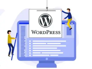 WordPress Theme & Plugin Customization Development Service